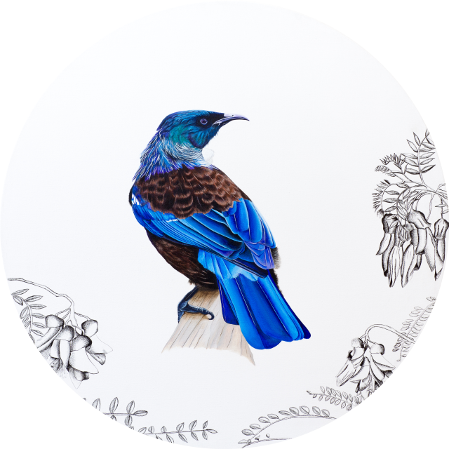 Nz Birds Print (640x640)