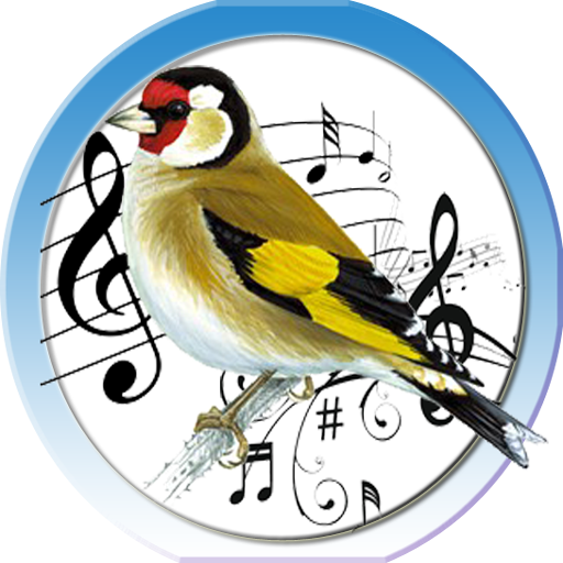 Goldfinch Clipart Less - Cafepress Musical Symbols 60" Curtains (512x512)