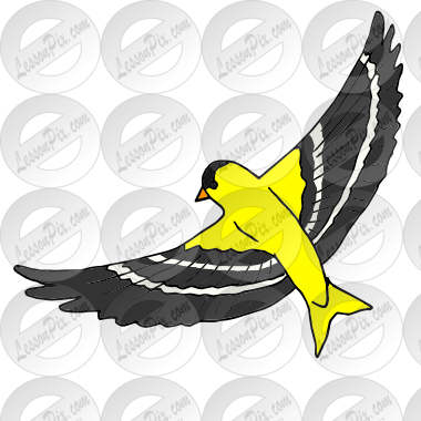 United States Clip Art By Phillip Martin, State Bird - Illustration (380x380)
