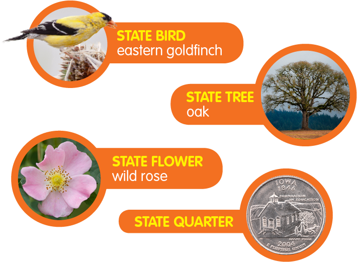 The Tennessee State Bird Tree And Flower Sciencing - State Animals Of Iowa (740x555)