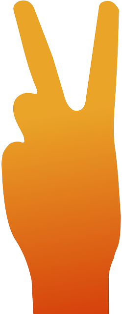 Peace, Gesture, Fingers, Hand - Hand Peace Orange Png (320x640)