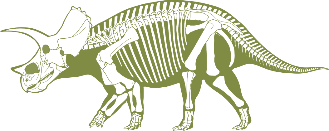 Skeleton Clipart Triceratops - Skeleton (1054x420)