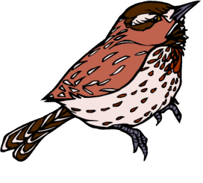 Cactus Wren - Cactus Wren (400x361)