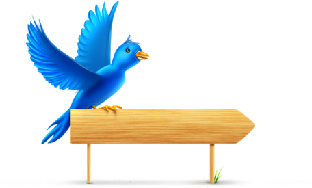 Format - Png - Bird On A Perch Clipart (512x274)