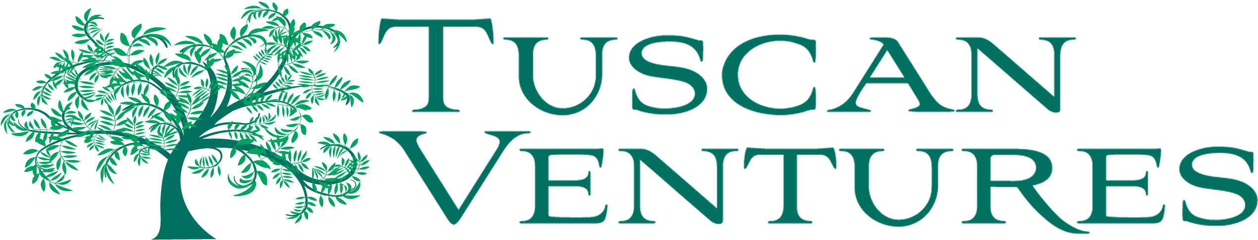 Tuscan Ventures - Tuscan Ventures (2539x486)