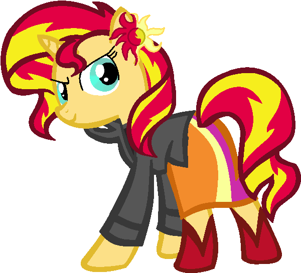 Sunset - Sunset Shimmer As The War Doctor Totes (766x624)