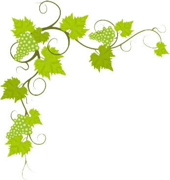 Il Trebbio Farm - Farmhouse In The Tuscany Countryside (373x380)