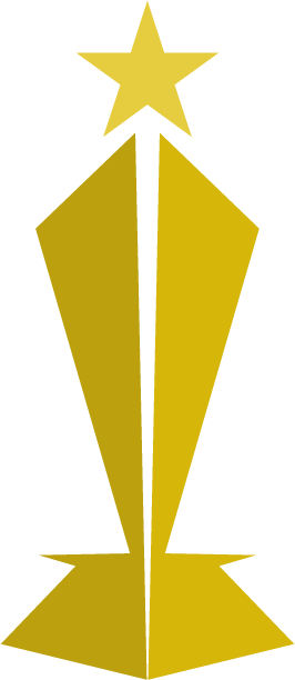 Caw Award Icon - Award Icon Png (266x612)