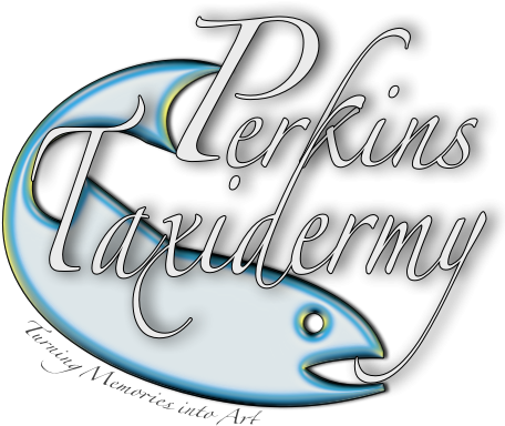 Perkins Taxidermy “eventually, All Things Merge Into - River (462x410)