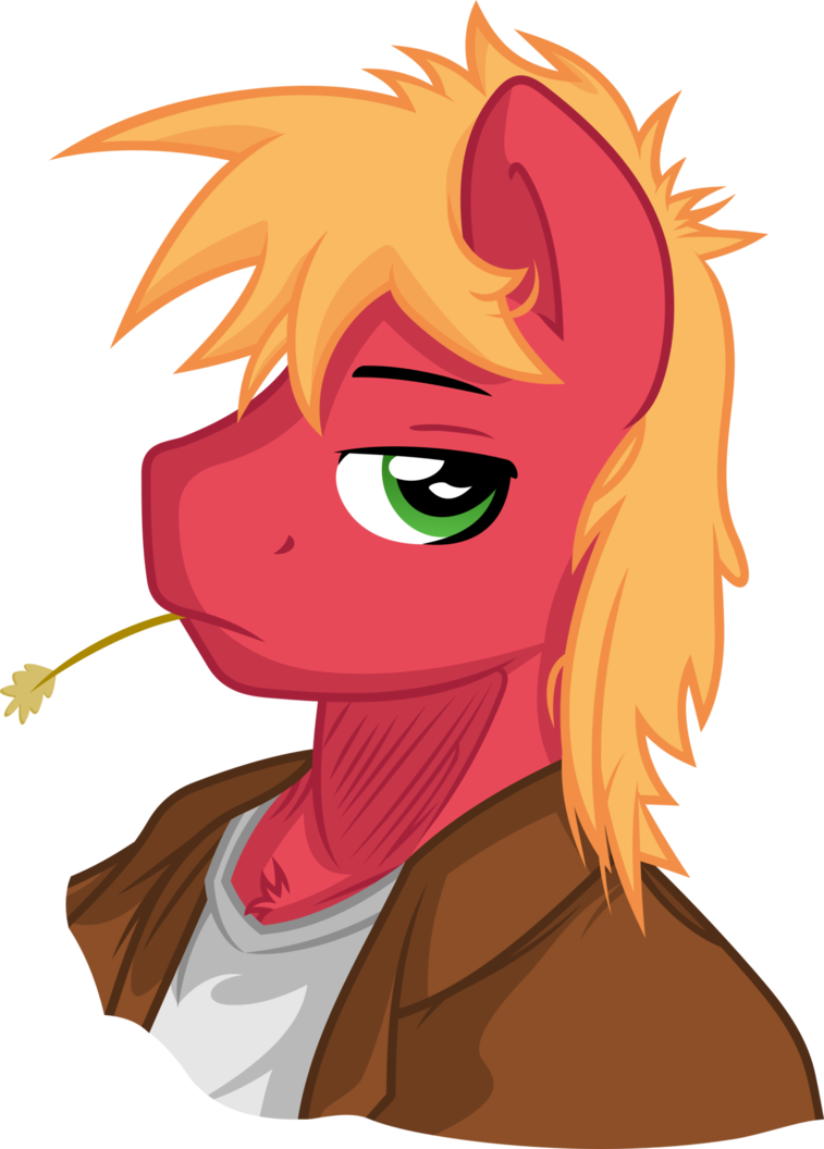 Anthro Big Macintosh By Gray-gold - Mlp Big Mac Anthro (757x1056)