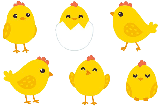 Baby Chicken Png Image With Transparent Background - Cartoon Chickens Transparent Background (580x386)