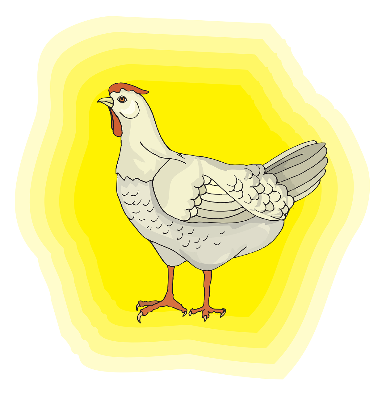 Chicken Bird White Feathers Png Image - Correspondant À La Santé Des Poulet (1250x1280)