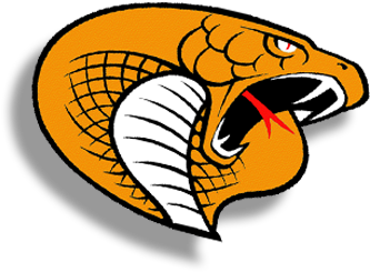 Cobras Baseball 2018 Profile Image - South Miami Senior High Cobra (400x400)