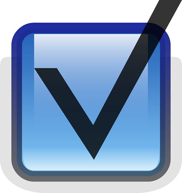 Tick, Check Box, Okay, Vote, Yes, Blue - Case À Cocher Bleu (602x640)