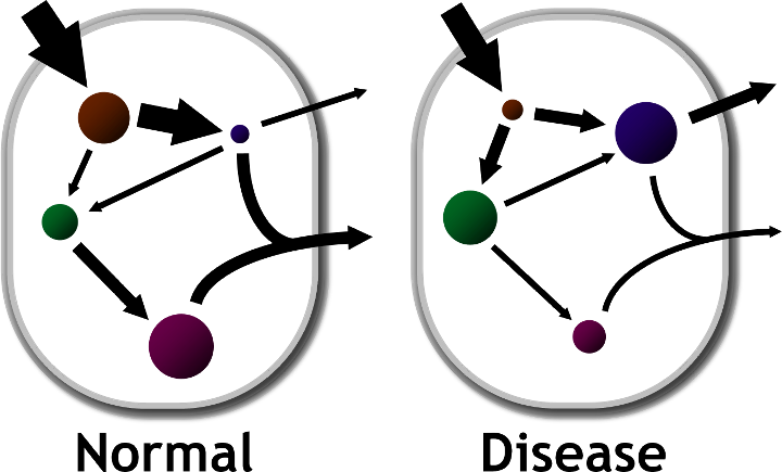 Serum Free Fatty Acids Are Typically Elevated In Individuals - Circle (720x435)