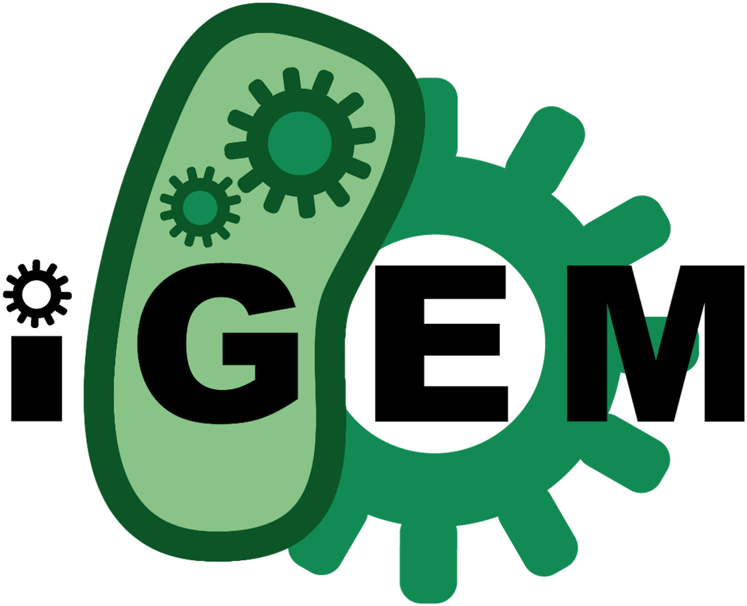 From 2013 - Igem - Org - International Genetically Engineered Machine (1197x916)