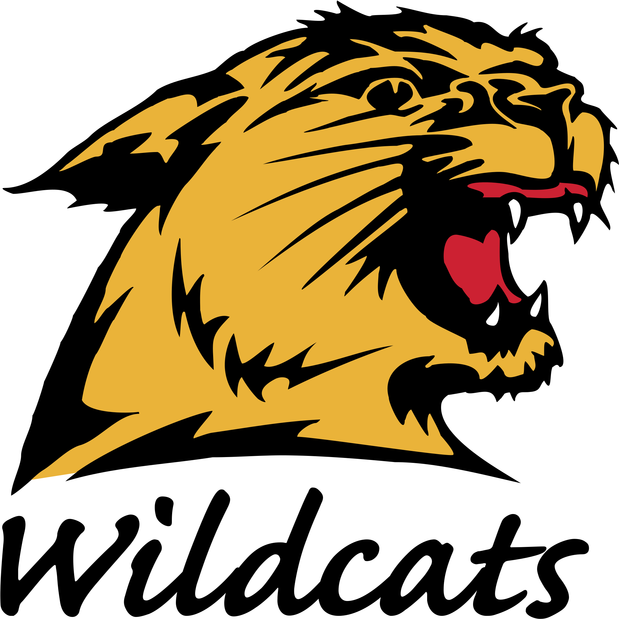 Wildcat Clipart Nmu - Ncaa Northern Michigan University Multi-use Colored (2400x2400)