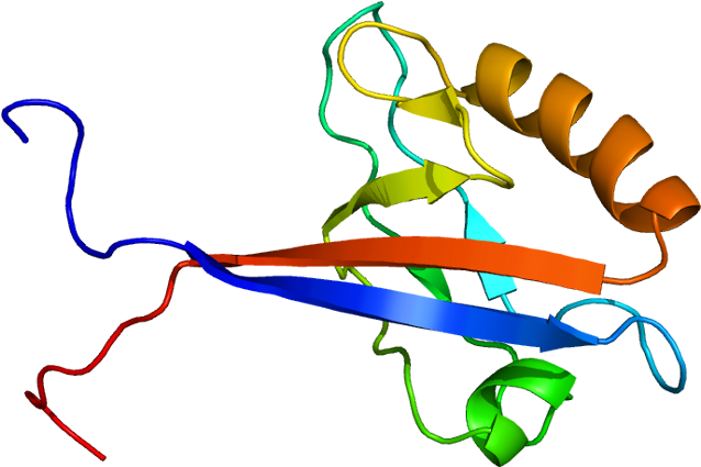 Protein Data Bank (687x474)