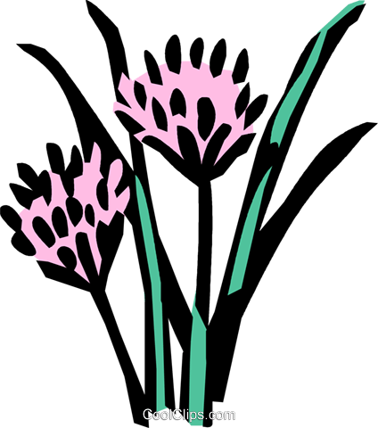Chives Royalty Free Vector Clip Art Illustration - Chives Royalty Free Vector Clip Art Illustration (424x480)