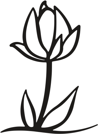 Flower, Bloom, Growth, Expansion, Leaf, Leafage, Nature - Black And White Tulip Png (512x512)