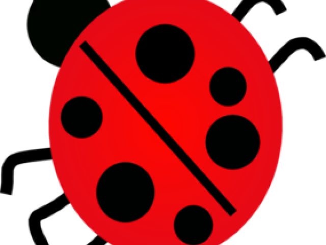 Bug Clipart Free Clipart On Dumielauxepices Net Rh - Coccinelle Cliparts (640x480)
