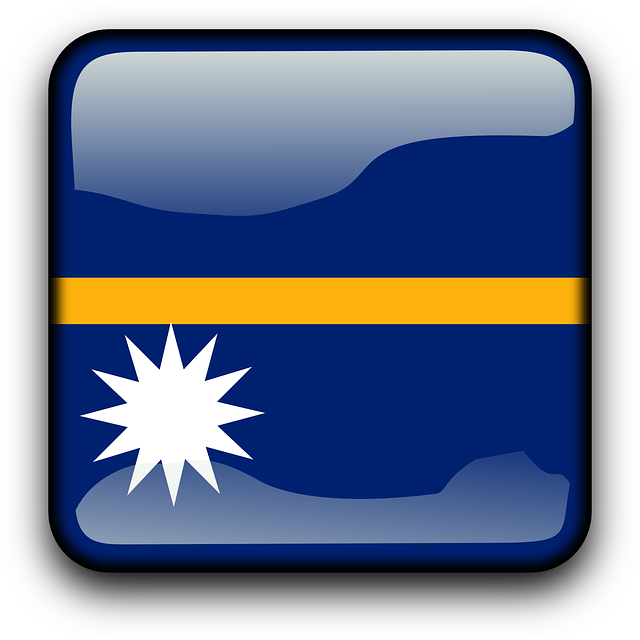 Flag, Country, Nationality, Square, Button - Valley Forge Nauru Flag (640x640)