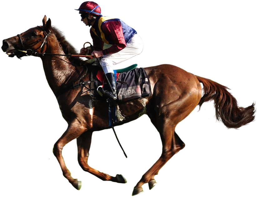 Horse And Jockey Png (931x720)