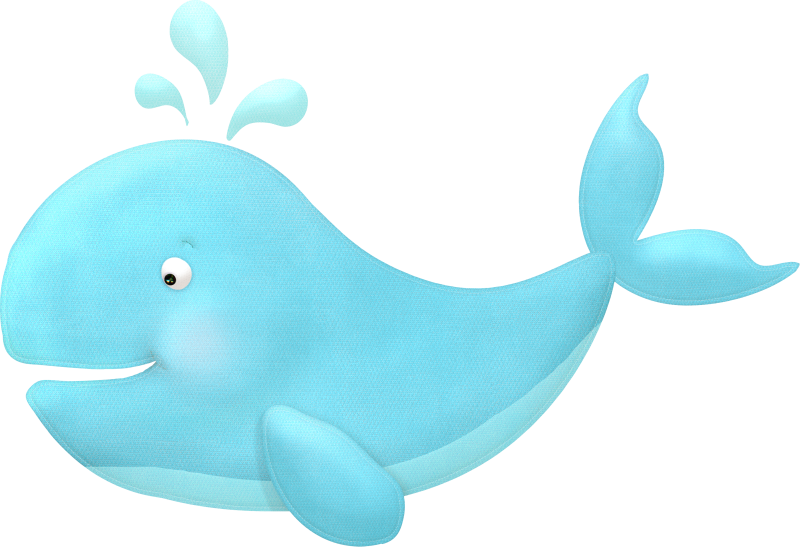 Asb Aquaticdreams Element62 - Common Bottlenose Dolphin (800x547)