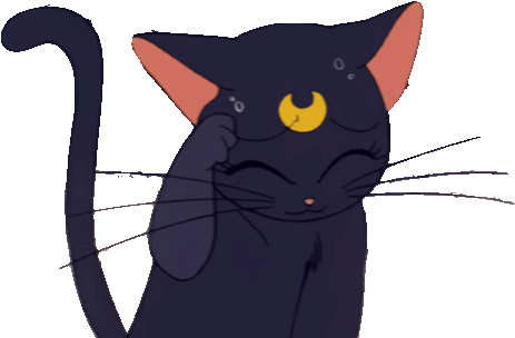 Cat Black Cat Sailor Moon Luna Anime Kiki's Delivery - Sailor Moon Cat No Background (500x375)