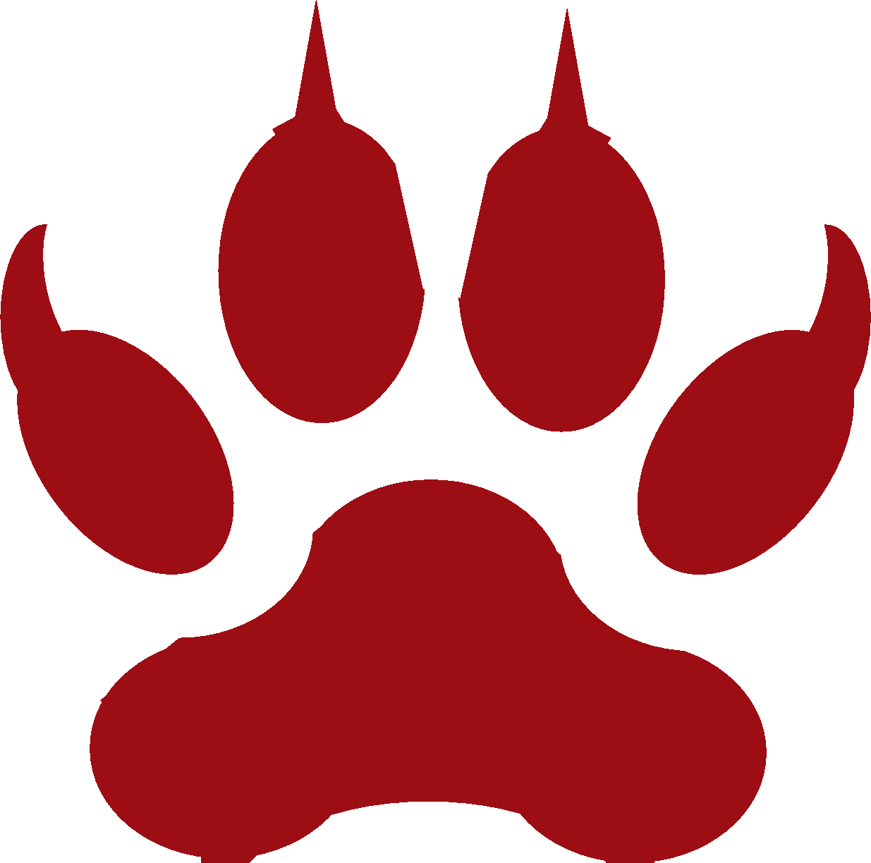 About Keara Edwards - Wolf Paw Print Clip Art (1235x1224)