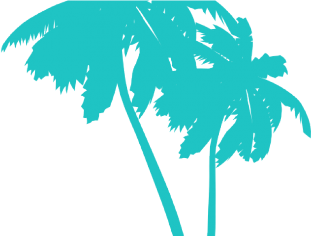 Palm Tree Clipart Wedding - Palm Tree Clip Art (640x480)
