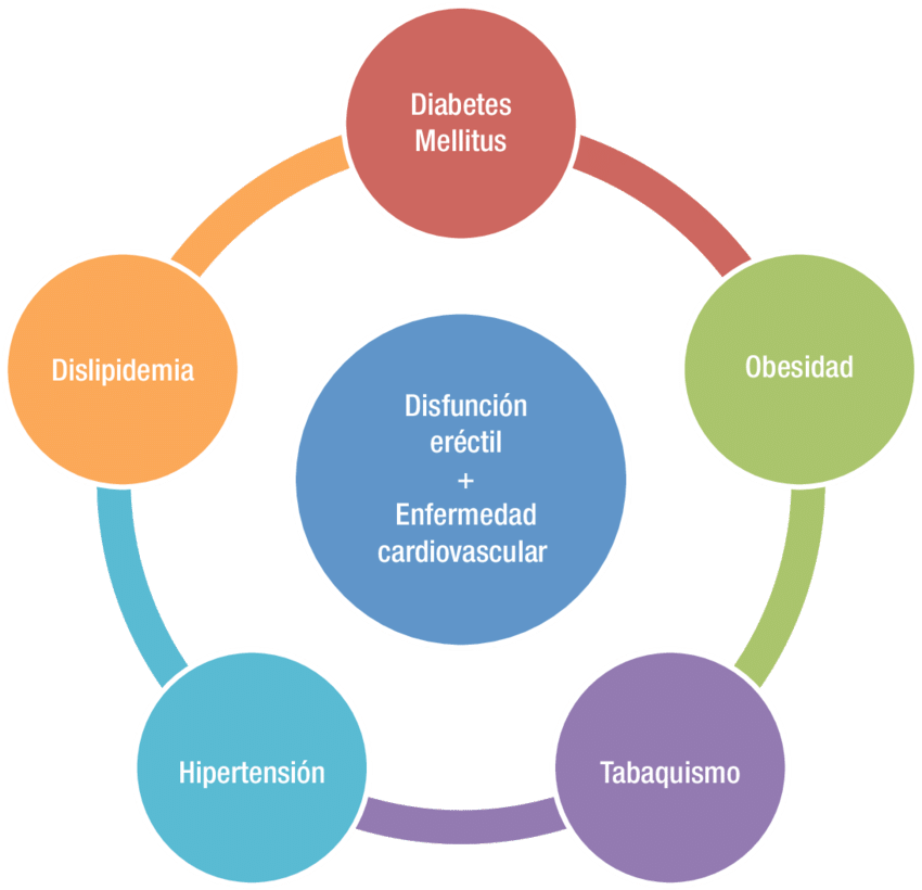 Download - Dimensions Of Business Environment (850x820)