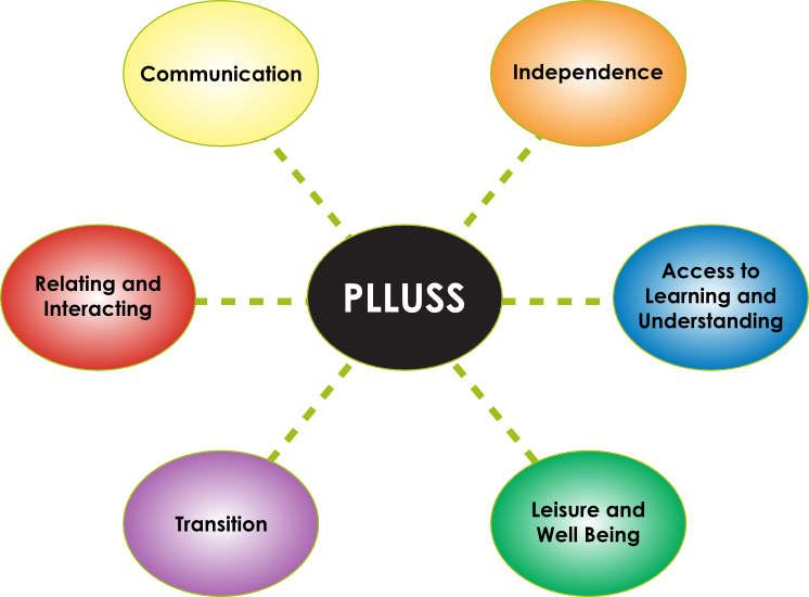 Plluss Diagram - Diagram (746x550)