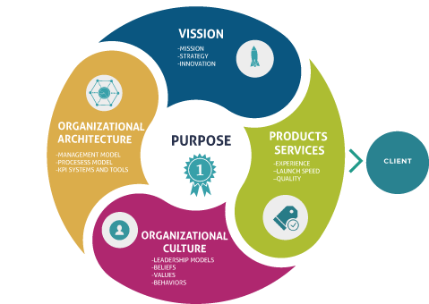 Cultural Evolution - Model On Organization Culture (507x436)