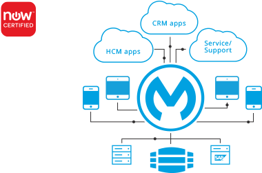 Mulesoft Ermöglicht Wachstum Durch Skalierbarkeit - Servicenow Sap Integration (500x250)