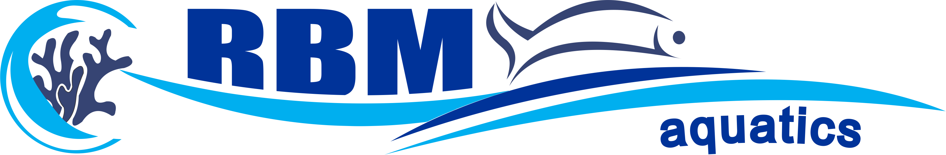 Rbm Aquatics - Rbm Aquatics (3289x540)