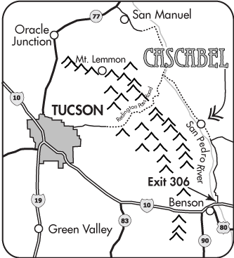 We Have Over 35 Vendors This Year Offering Everything - Diagram (333x367)