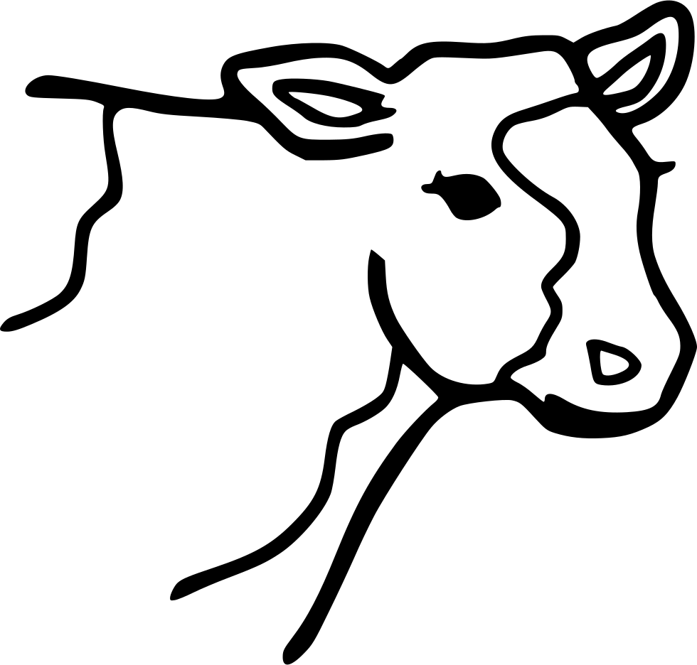 Png File - Coloring Pages Cows Printable (980x936)