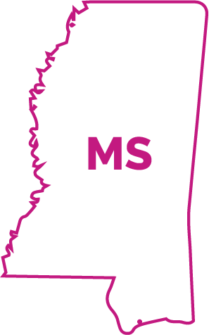 State Requirements - Mississippi State Shirt State Pride Usa T Novelty Gift (297x476)