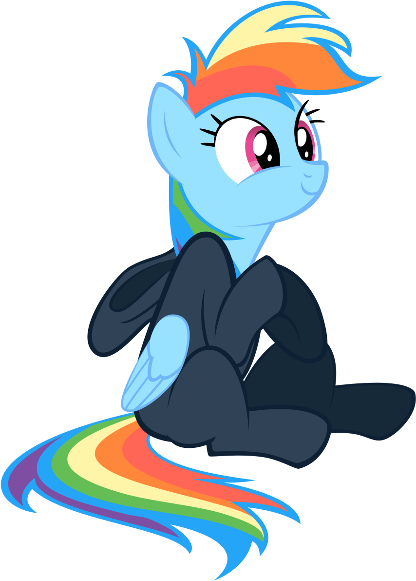Rainbow Dash Rarity Applejack Pinkie Pie Derpy Hooves - Rainbow Dash (890x1200)