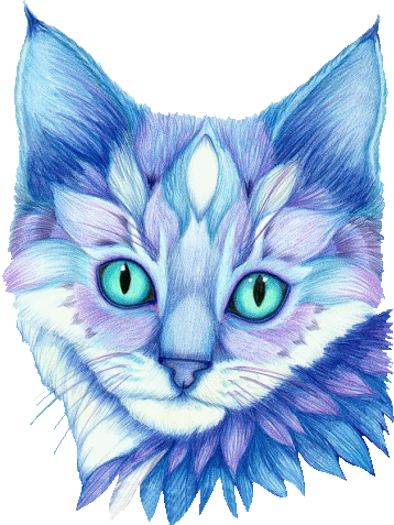 Fantasy Cats With Wings Funny Cats - Fantasy Cat With Wings (358x477)