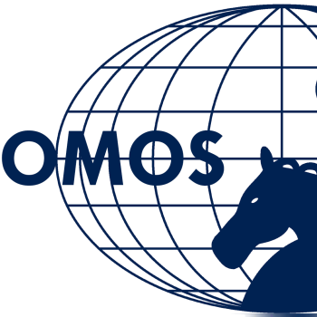 Us/icomos Announces Search For Next Executive Director - International Council On Monuments And Sites (350x350)