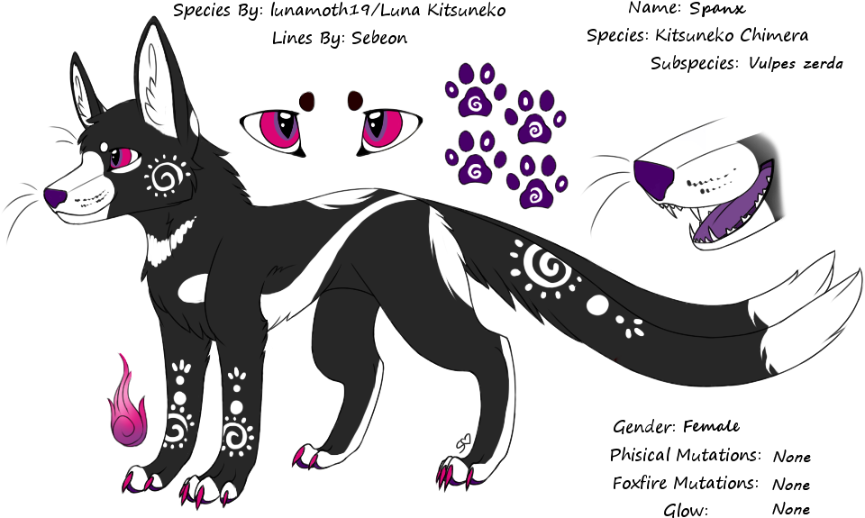 Shadow Flame - Seppala Siberian Sleddog (1000x600)