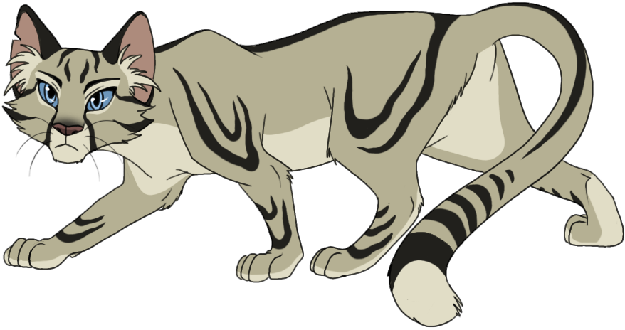 Longtail Reference By Annagiladi - Longtail Design Warriors (878x464)