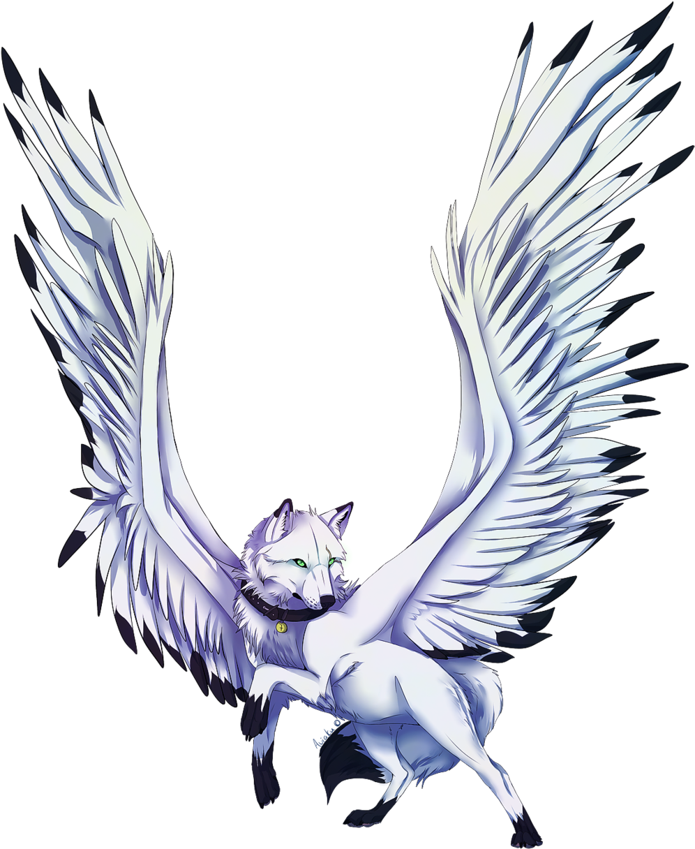 I-explore Ang Fantasy Art, Couples, At Higit Pa - Anime Wolf With Wings (1024x1249)