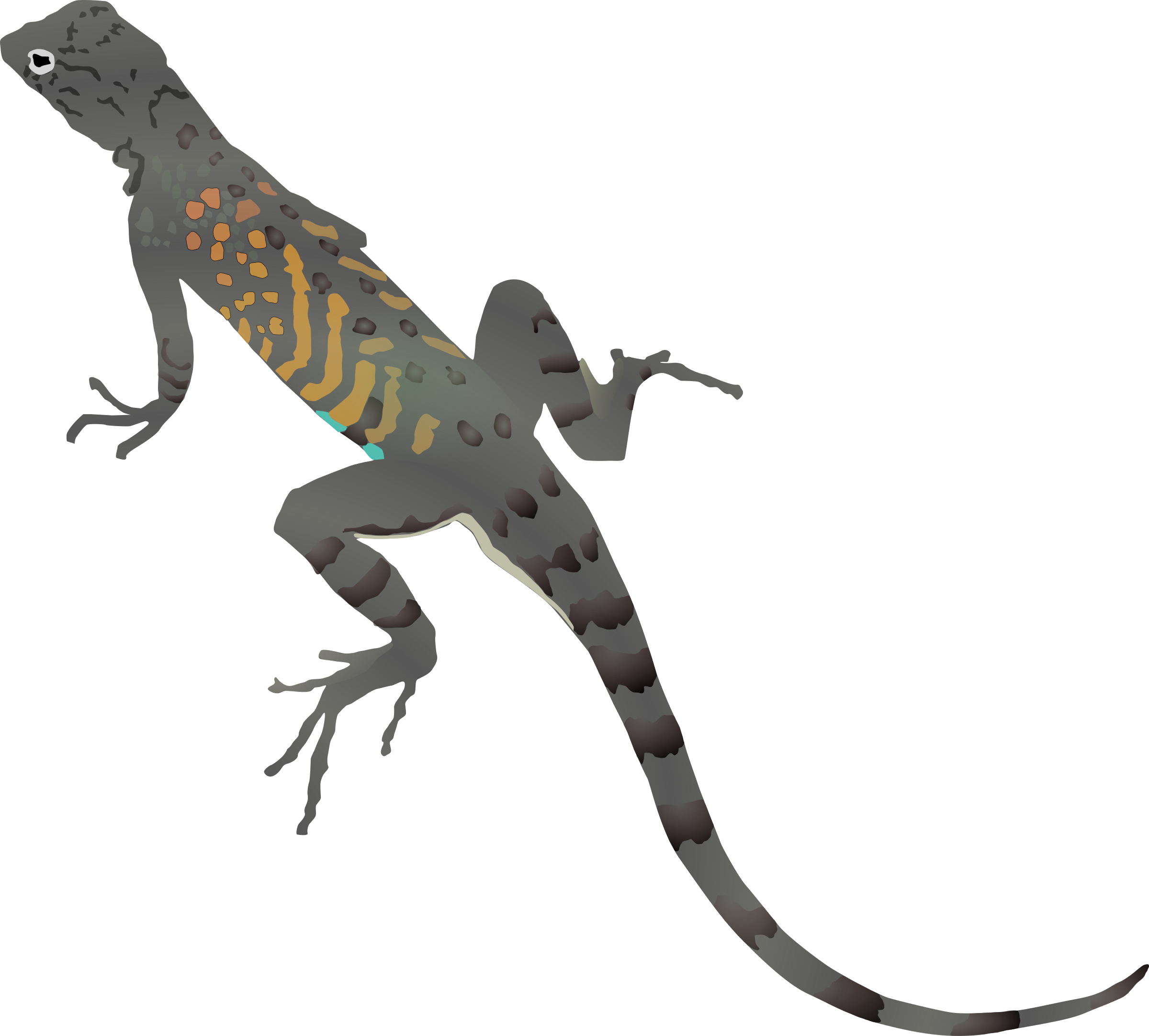 Big Image - Desert Lizard Clipart (2400x2164)