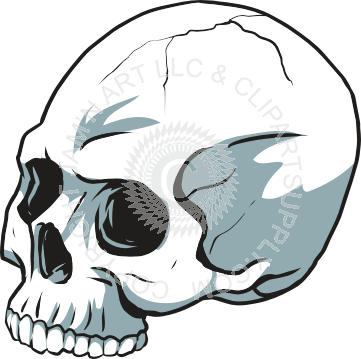 Skull Clipart Looking Left (361x359)