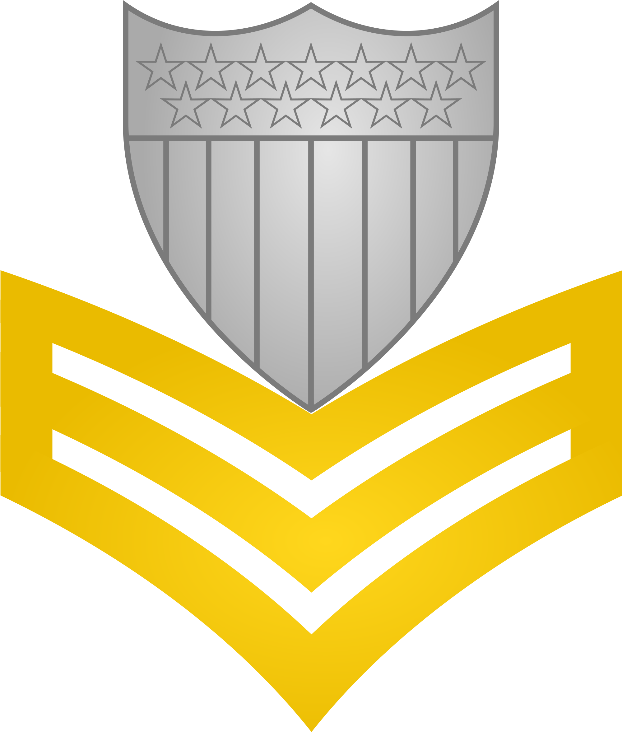 Open - - Petty Officer First Class (2000x2353)