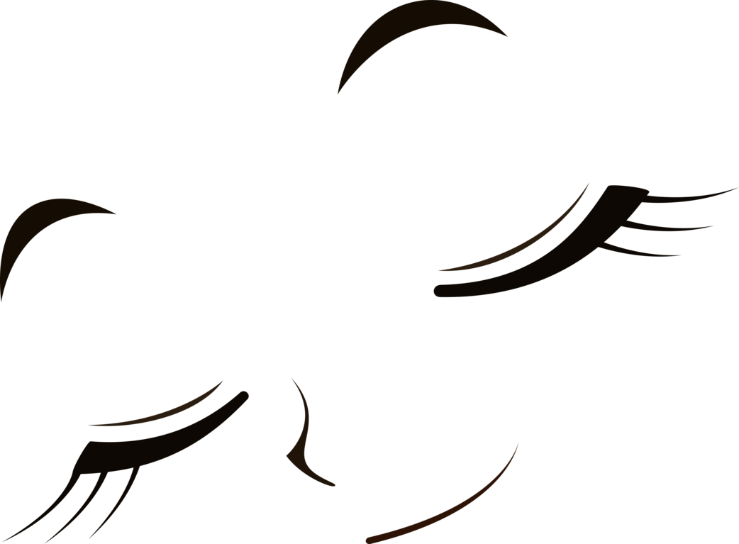 Closed Anime Eyes - Closed Anime Eyes Transparent (1042x767)