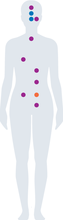 Clinical Trials - Clinical Trials (215x753)